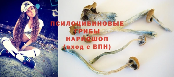 тгк Балахна