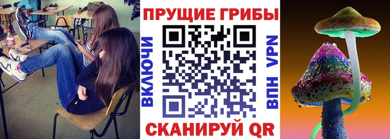 Псилоцибиновые грибы мицелий  Урай 